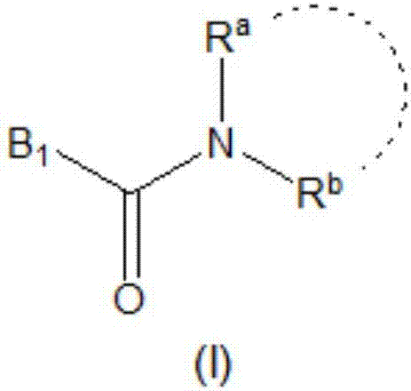 Novel compounds for use in cognition improvement