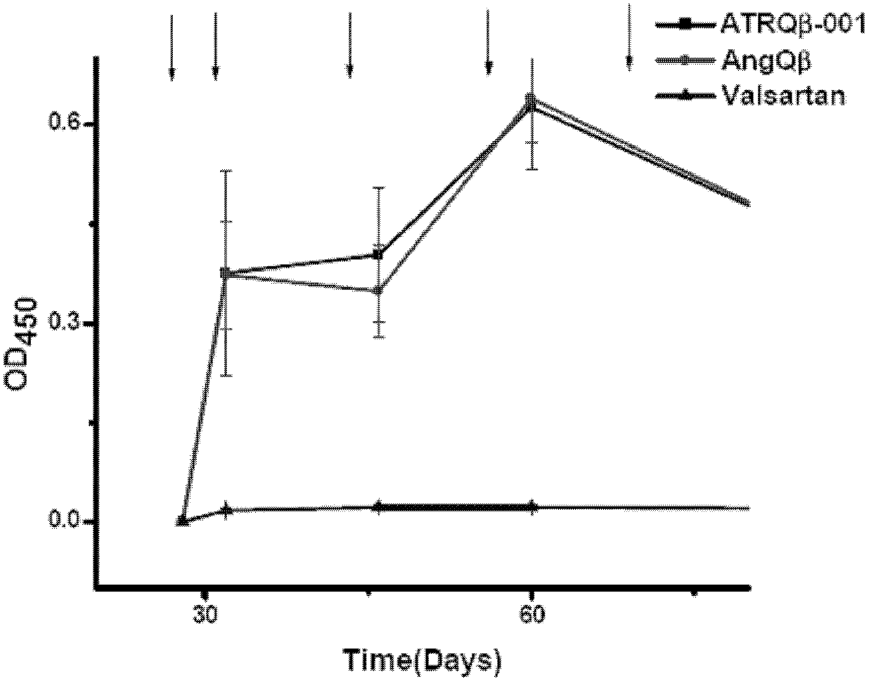 Angiotensin II receptor 1 type polypeptide-vector vaccine and application thereof