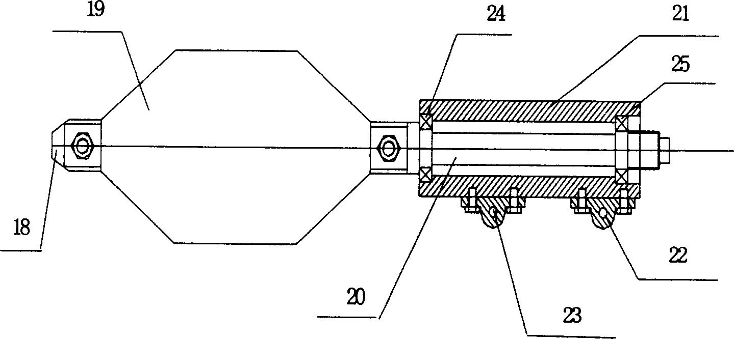 Amphibious biotic robot fortoise