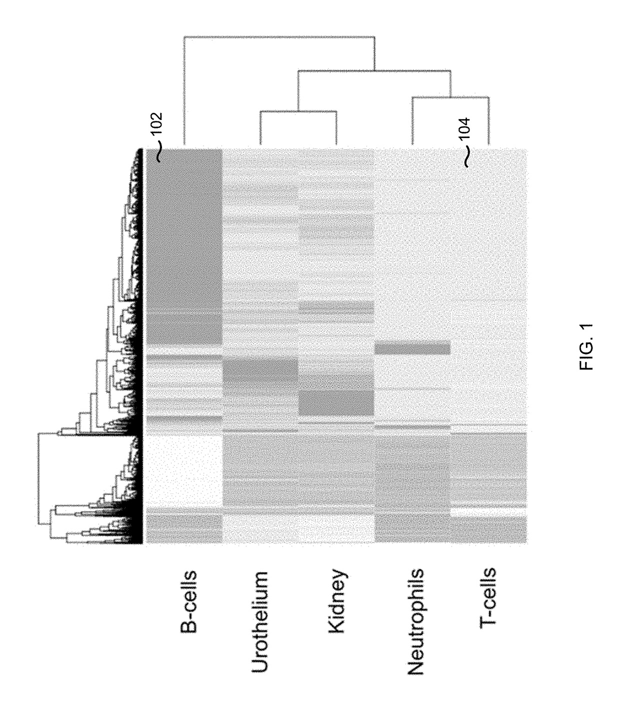 Analysis of cell-free DNA in urine and other samples