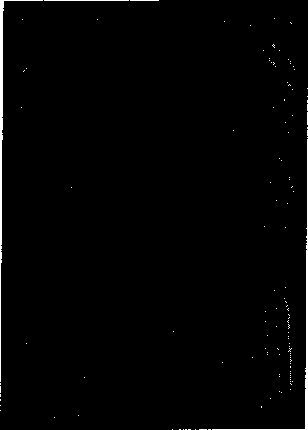 Embedded system fingerprint identification and matching method