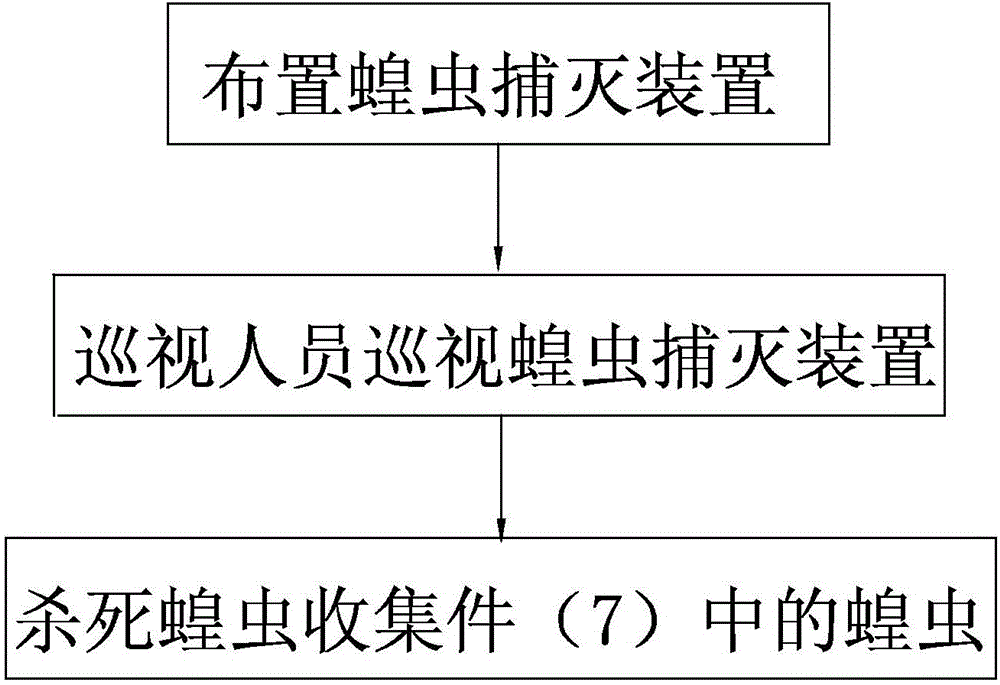 Locust catching and killing method