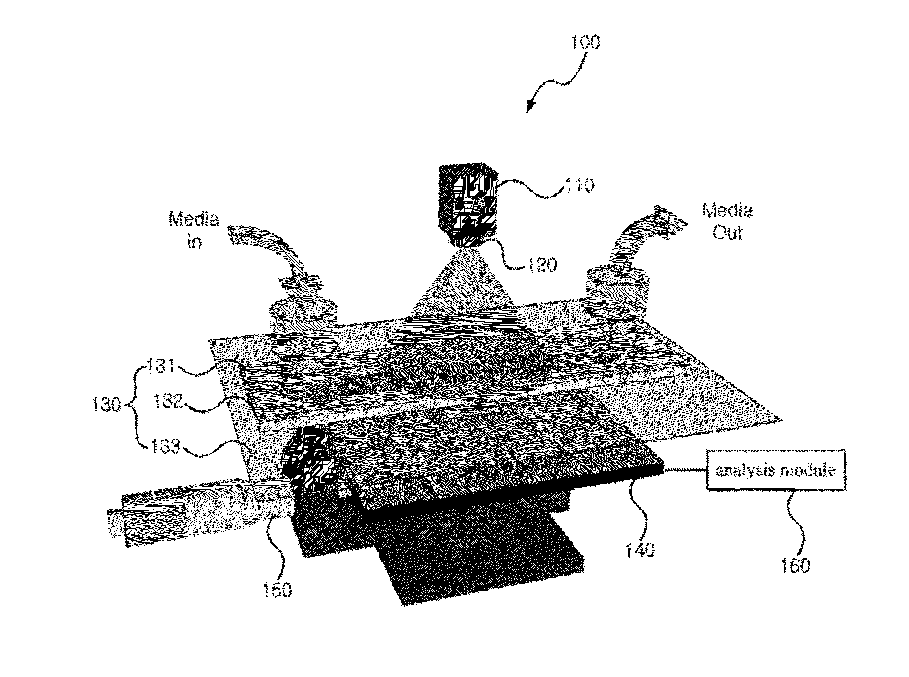 Apparatus for measuring cell activity and method for analyzing cell activity