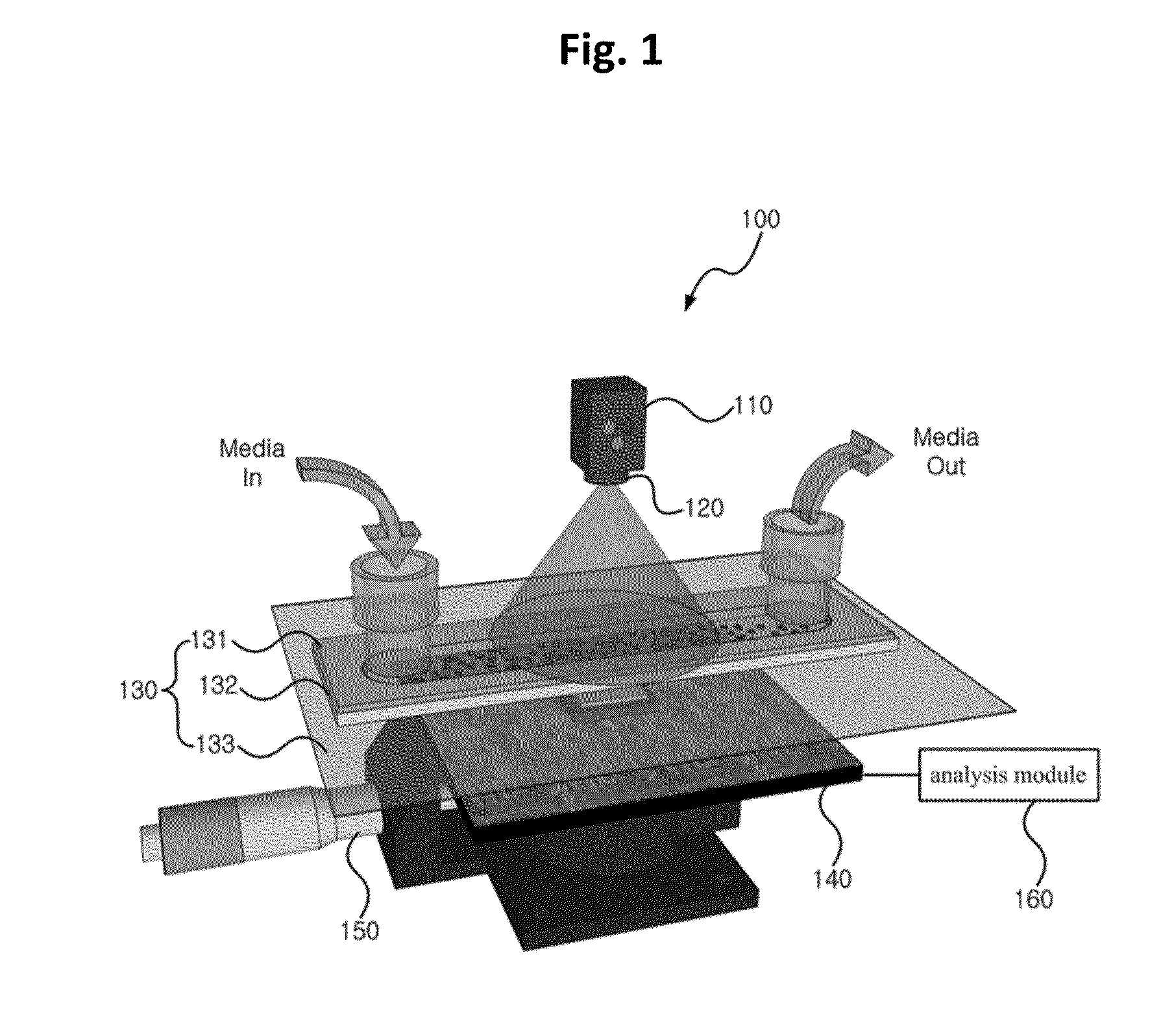 Apparatus for measuring cell activity and method for analyzing cell activity