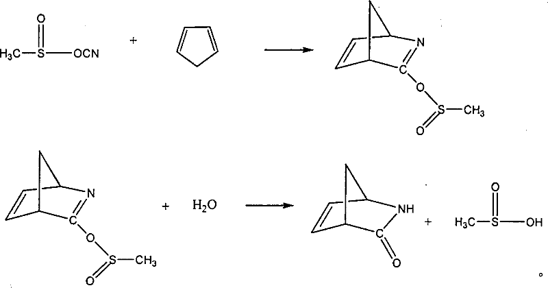 Method for preparing 2-azabicyclo[2.2.1]heptyl-5-ene-3-one