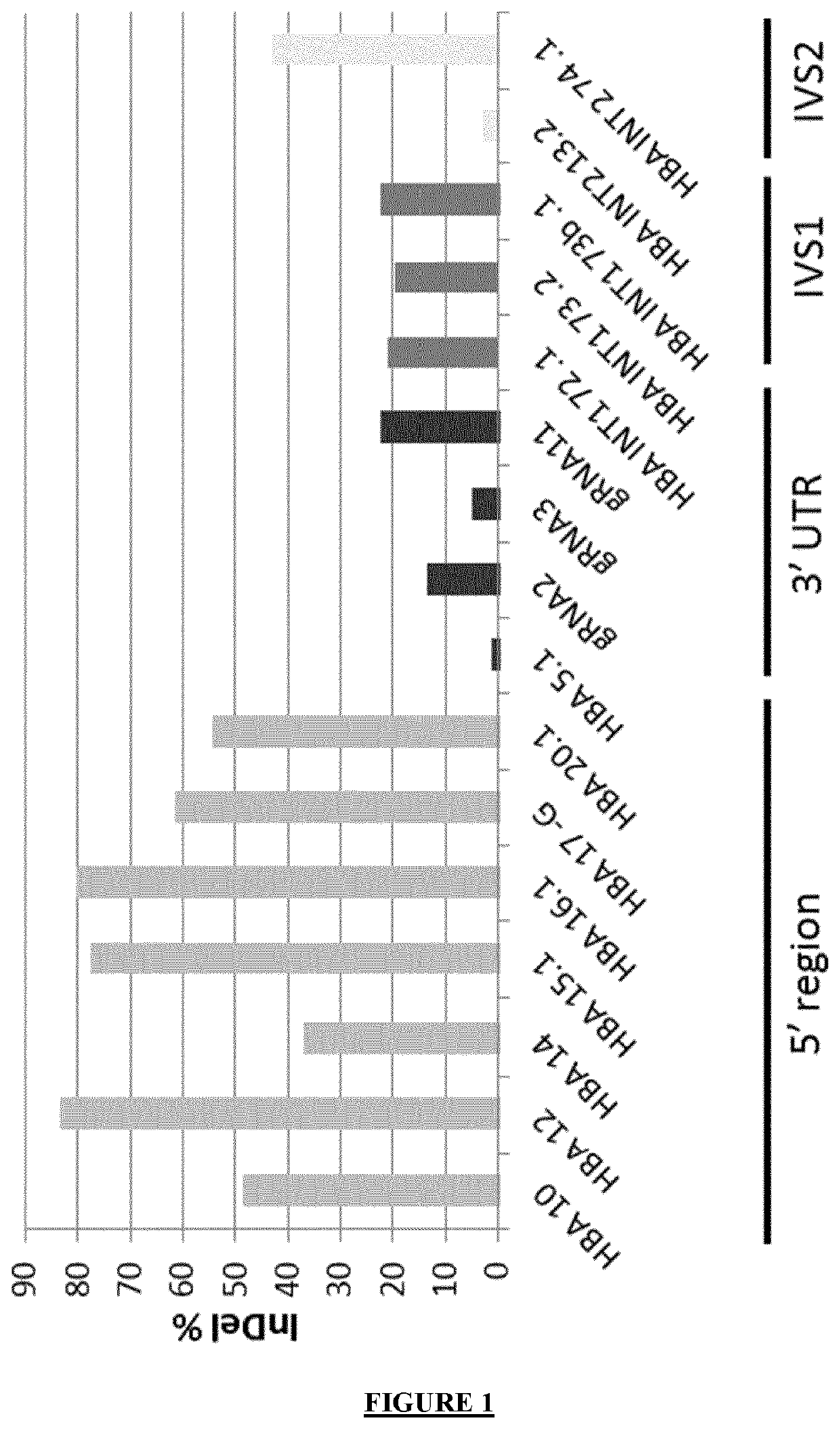 Correction of Beta-Thalassemia Phenotype by Genetically Engineered Hematopoietic Stem Cell