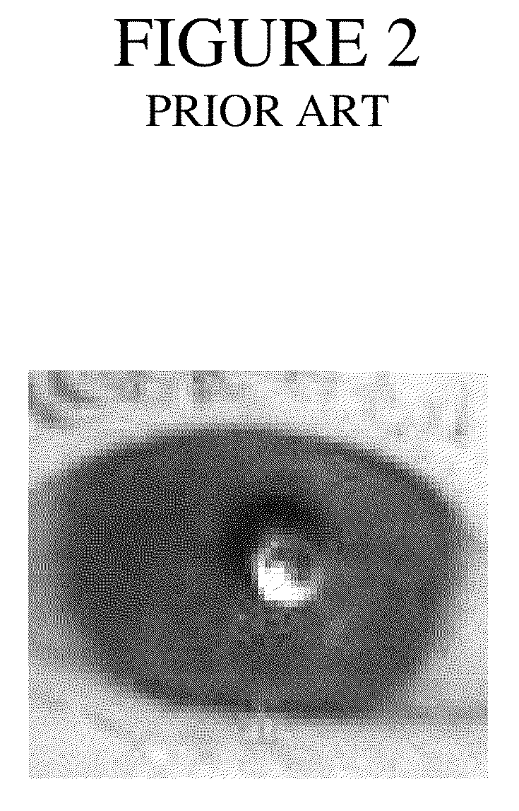 Gaze Point Tracking Using Polarized Light