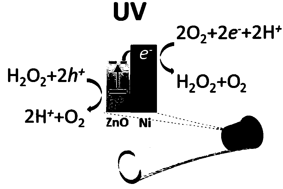 ZnO-Ni photic driving micropipe motor and preparation method thereof