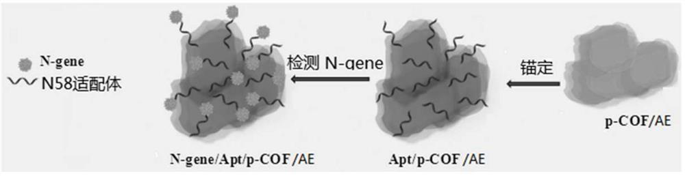 Covalent organic framework material, preparation method and application thereof, aptamer sensor and preparation method thereof