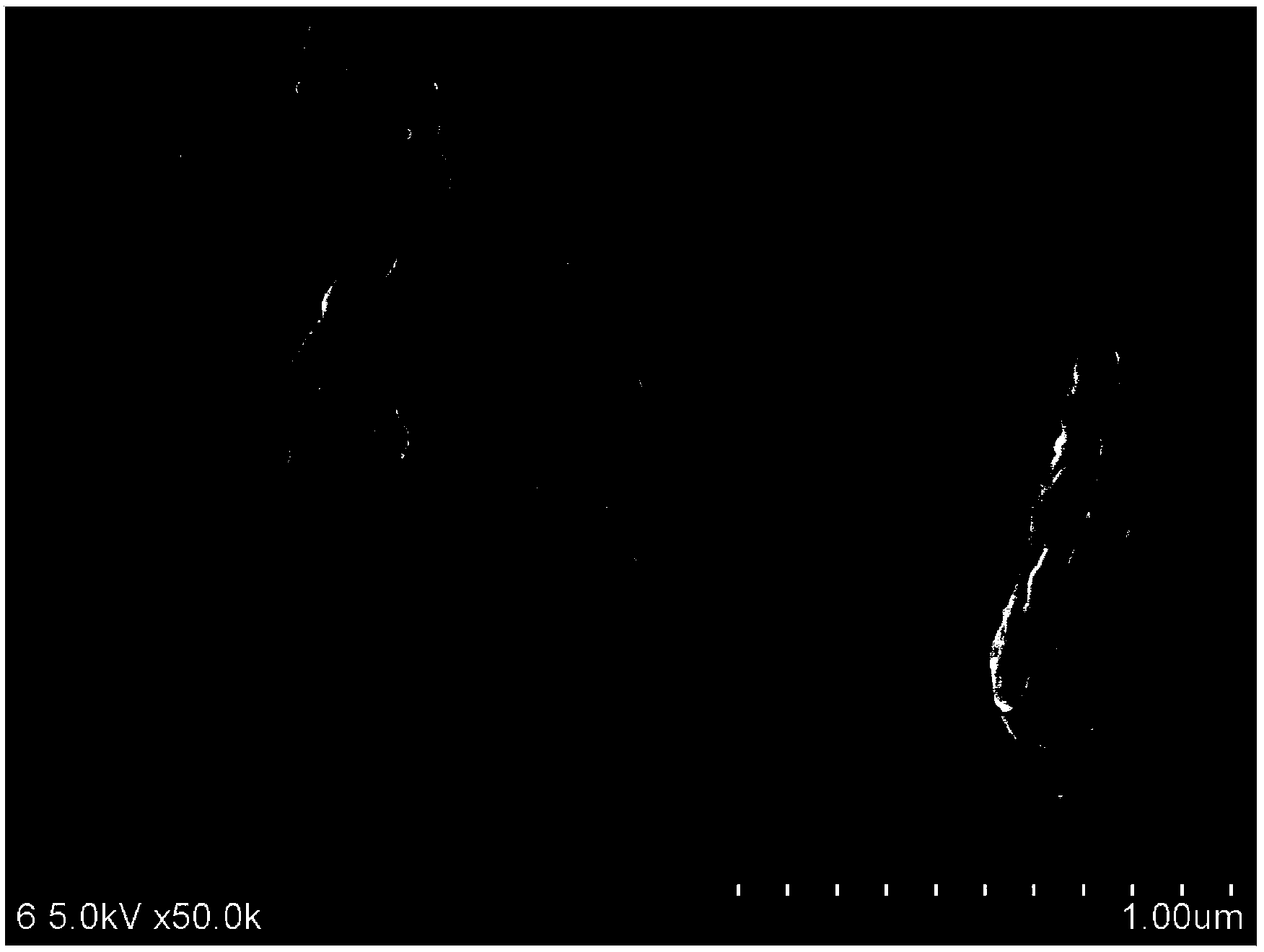 Preparation method for nano-sliver/cellulose nanocrystalline composite particle