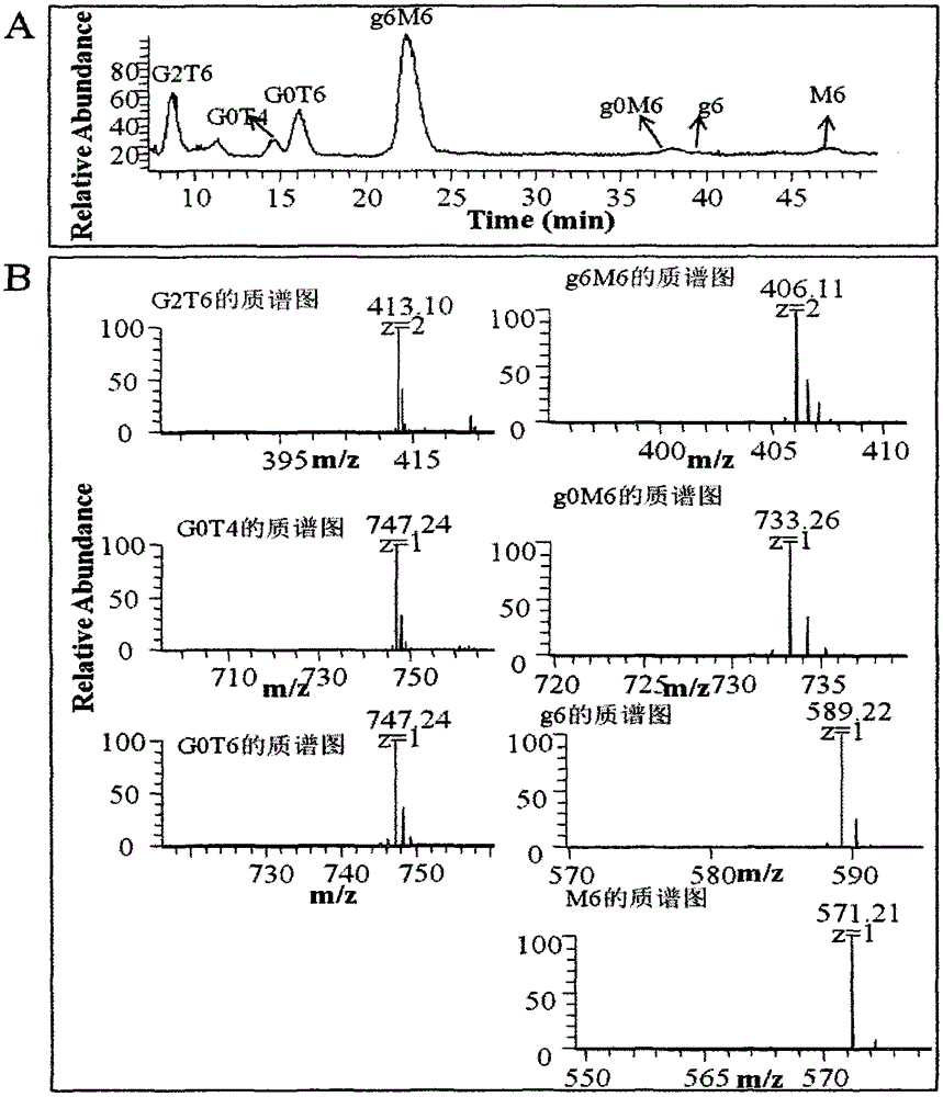 Purification and detection method of keratan sulfate in a kind of chondroitin sulfate