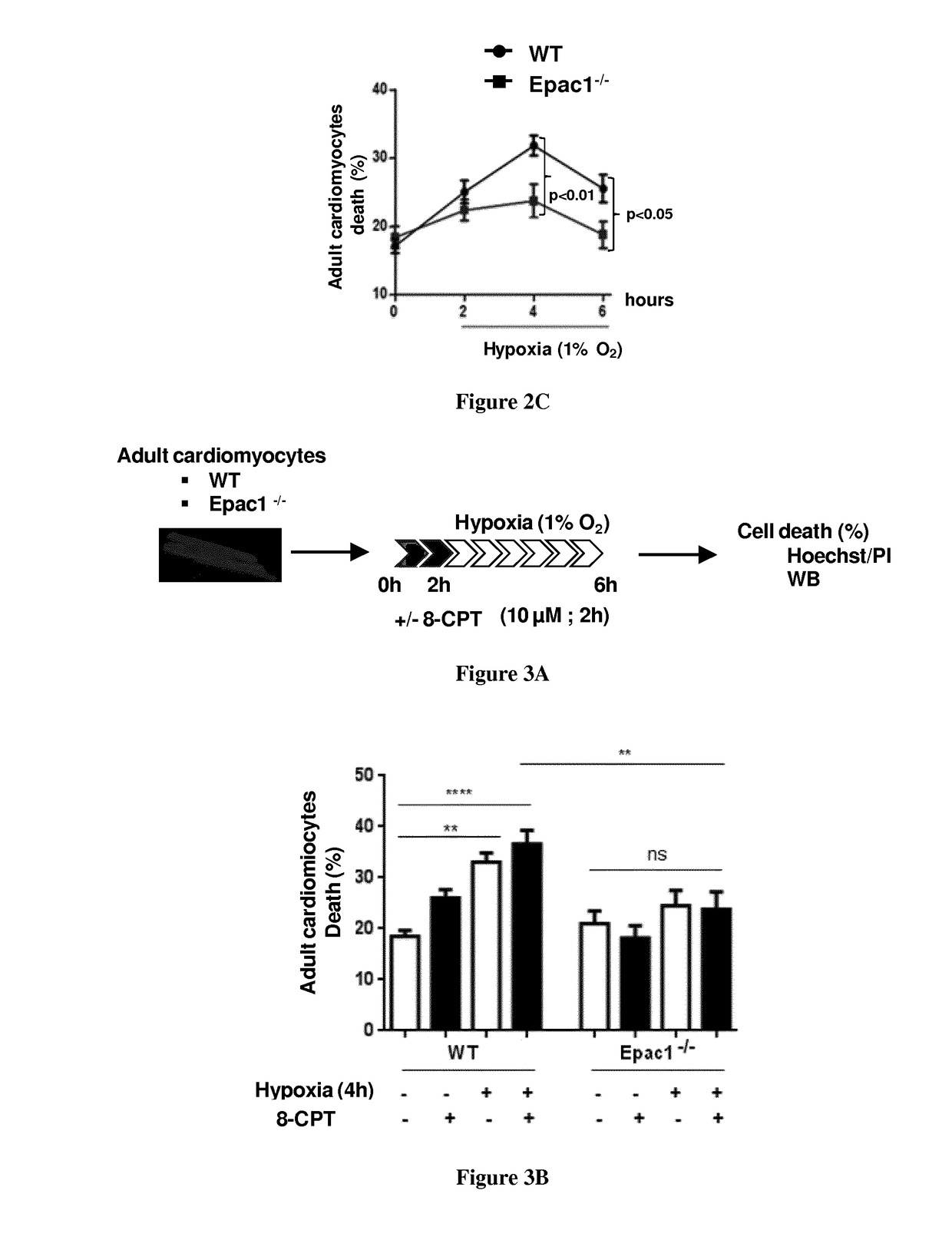 Tetrahydroquinoline derivatives and their use as EPAC1 inhibitors for the treatment of myocardial infarction injury