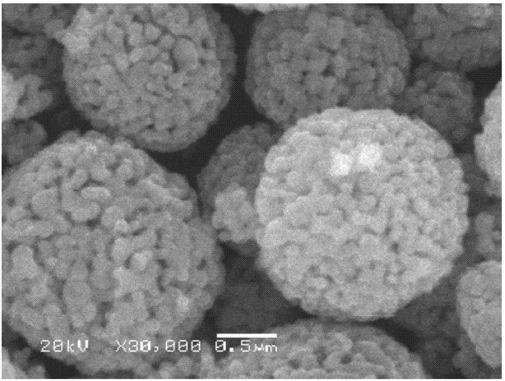 High-nickel ternary material with cobalt-rich surface layer and preparation method and application thereof