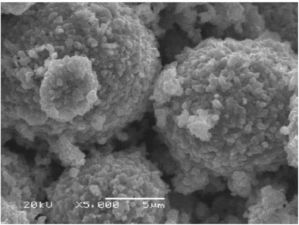 High-nickel ternary material with cobalt-rich surface layer and preparation method and application thereof