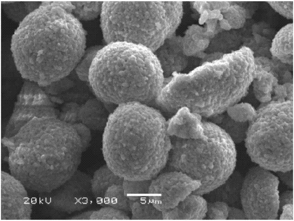 High-nickel ternary material with cobalt-rich surface layer and preparation method and application thereof