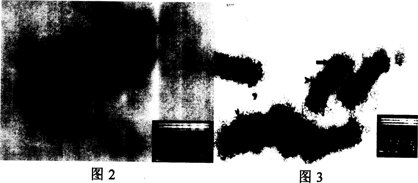 Leucodermia virus rapid detecting kit, and its preparing and using method