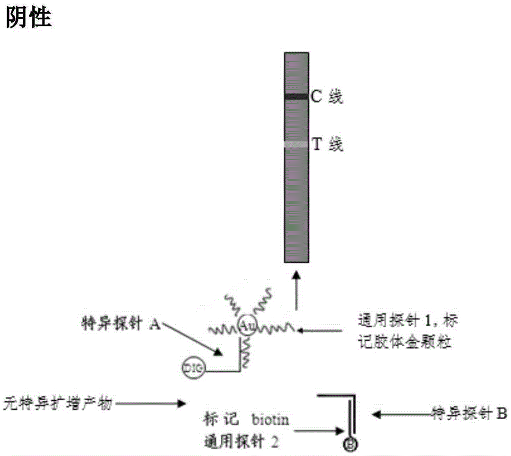 Method for detecting nucleic acid by colloidal gold chromatography technology and reagent kit