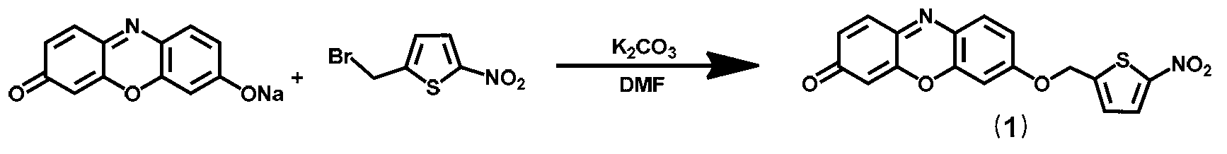 Bacteria nitroreductase detection kit and special-purpose fluorescence probe thereof