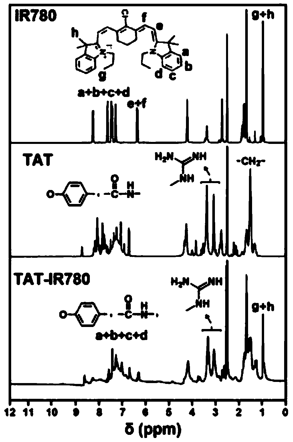 Tumor cell nuclear targeted drug-loading nanoparticle comprising functional polypeptide modified heptamethine cyanine dye and preparation method thereof