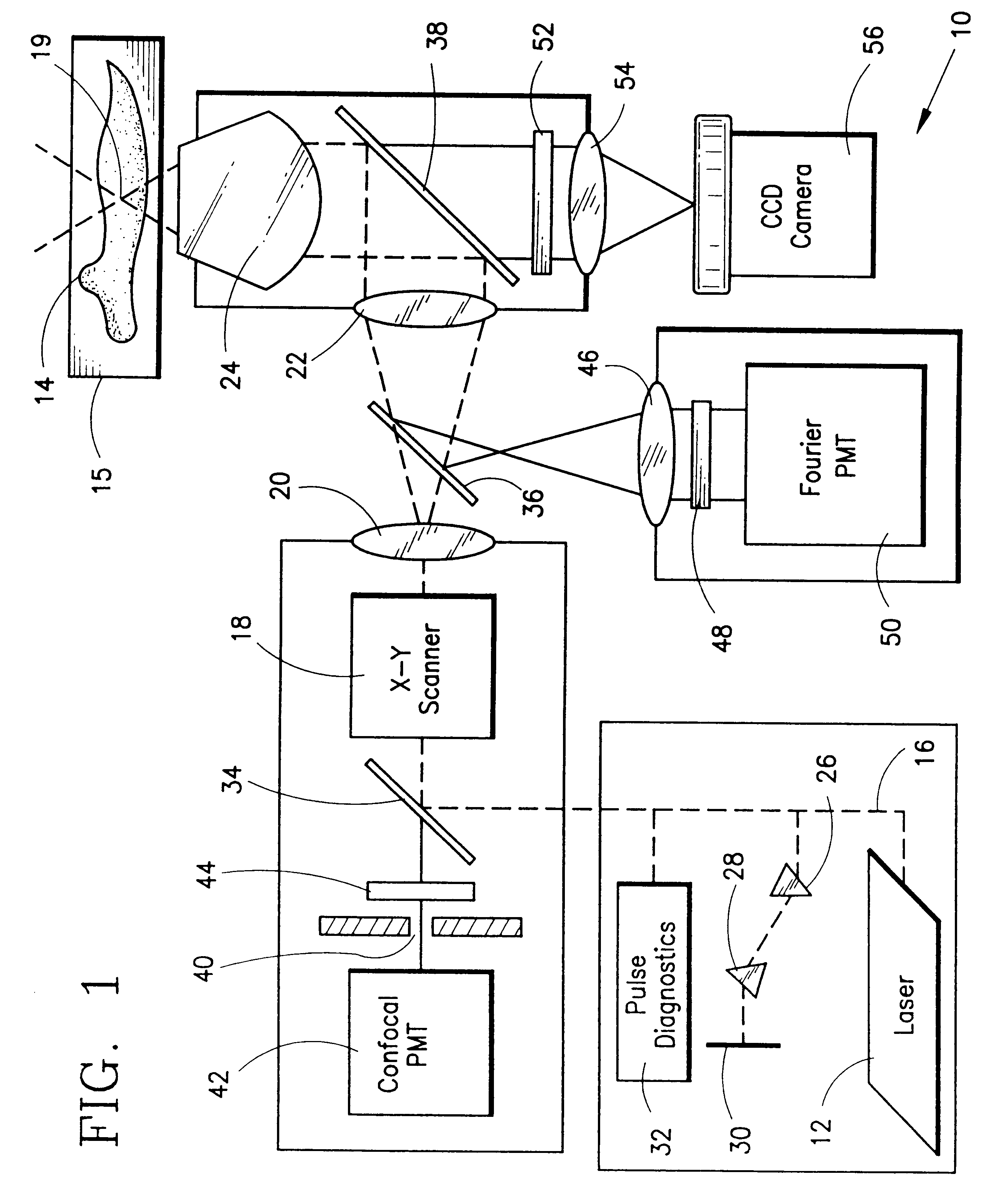 Multi-photon laser microscopy