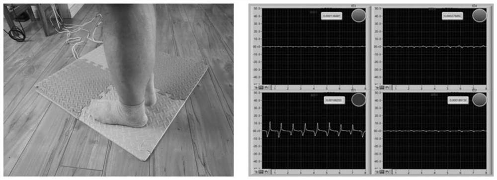 Intelligent carpet based on electrode array induction potential difference change