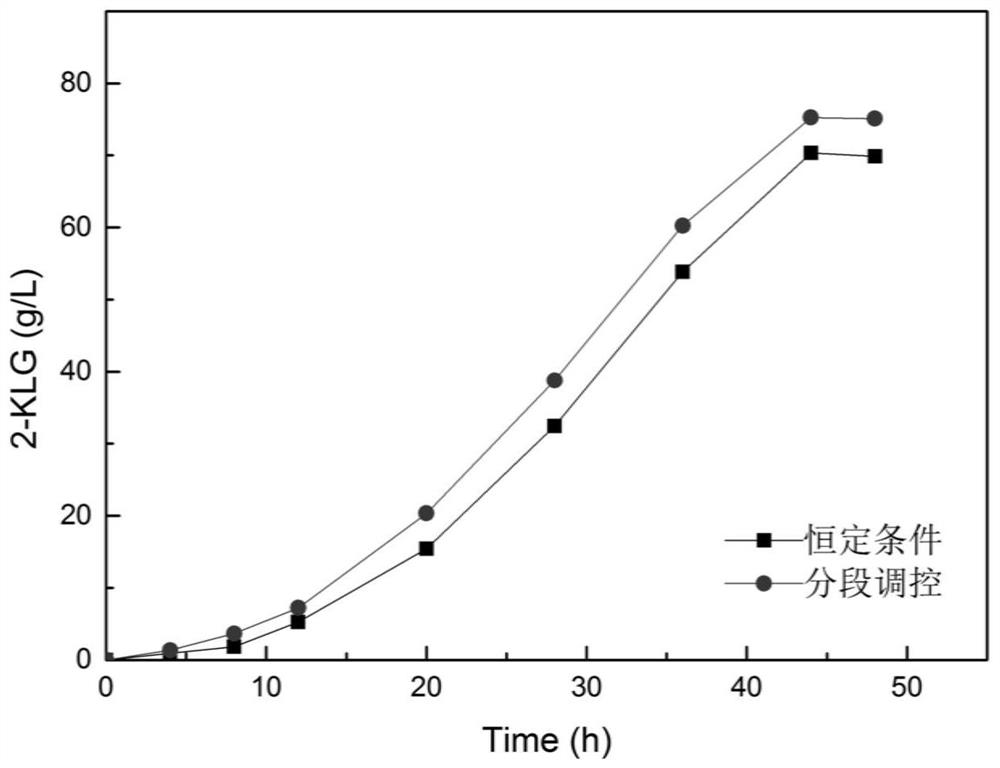 A kind of method for fermenting and producing vitamin C precursor 2-keto-l-gulonic acid