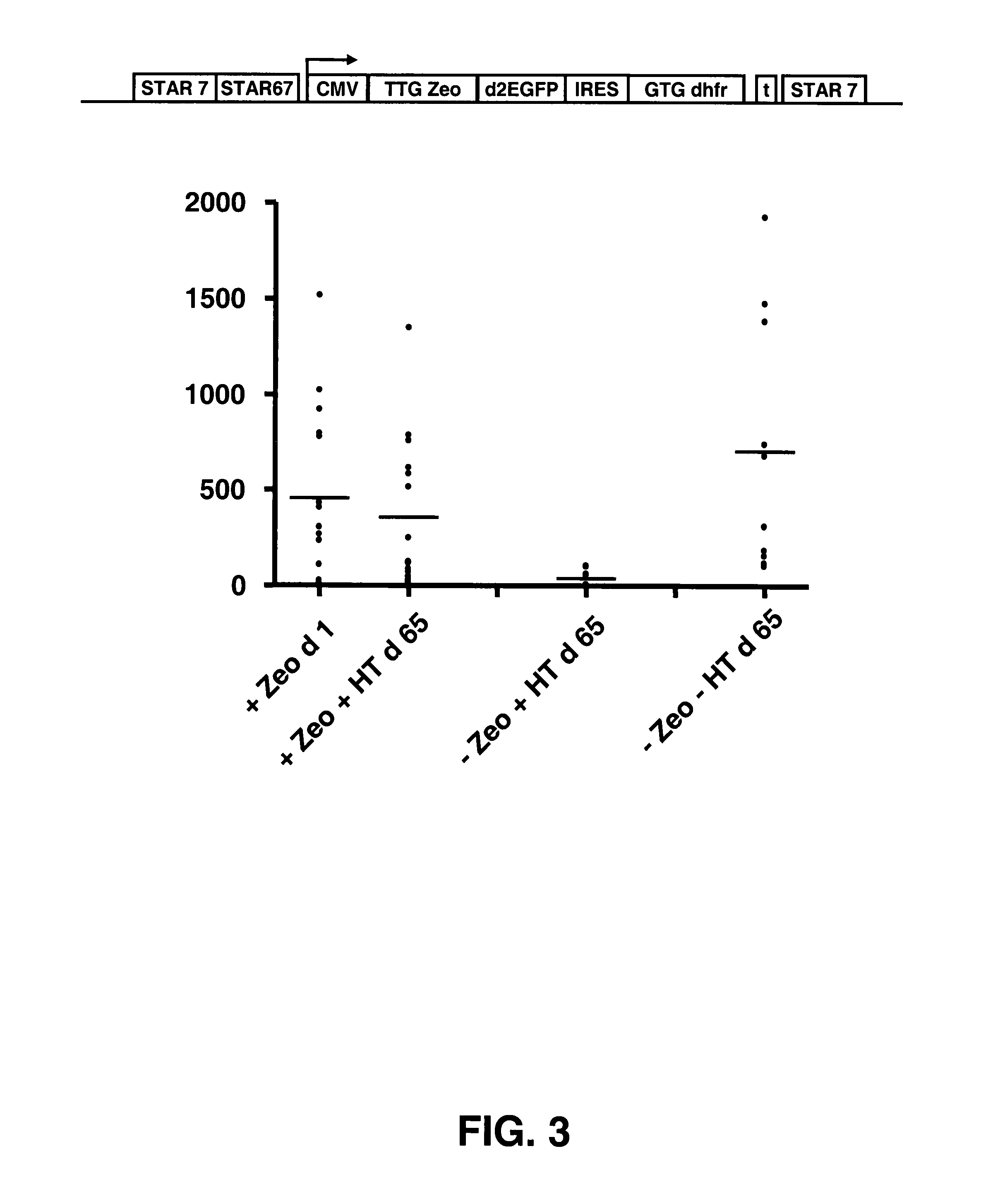 Selection of host cells expressing protein at high levels