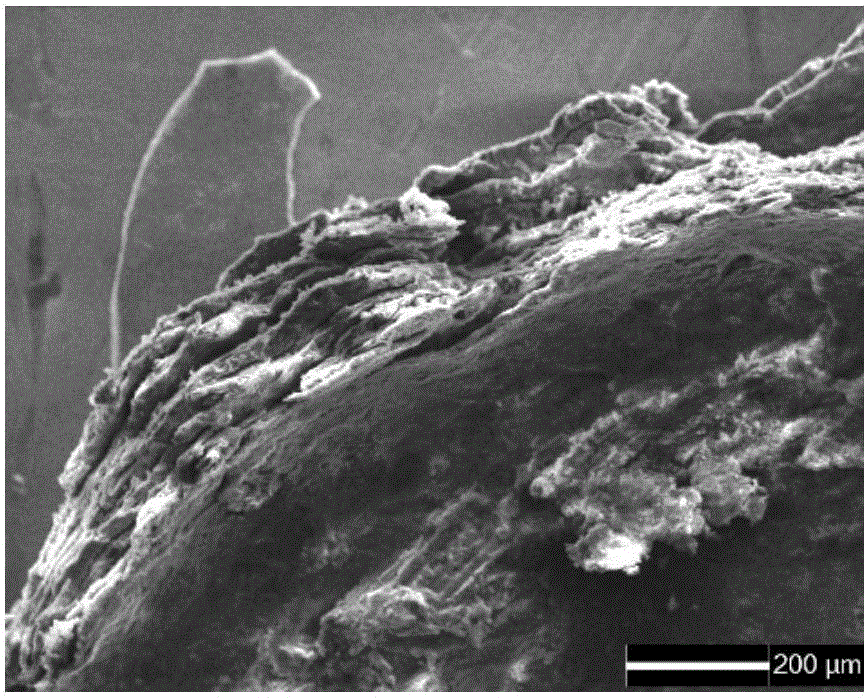 Preparation method of laminar composite for negative electrode of secondary metal lithium battery