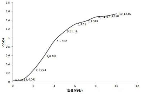 A manganese ion-binding peptide, its screening method, and its affinity performance detection method