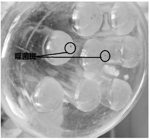 A manganese ion-binding peptide, its screening method, and its affinity performance detection method