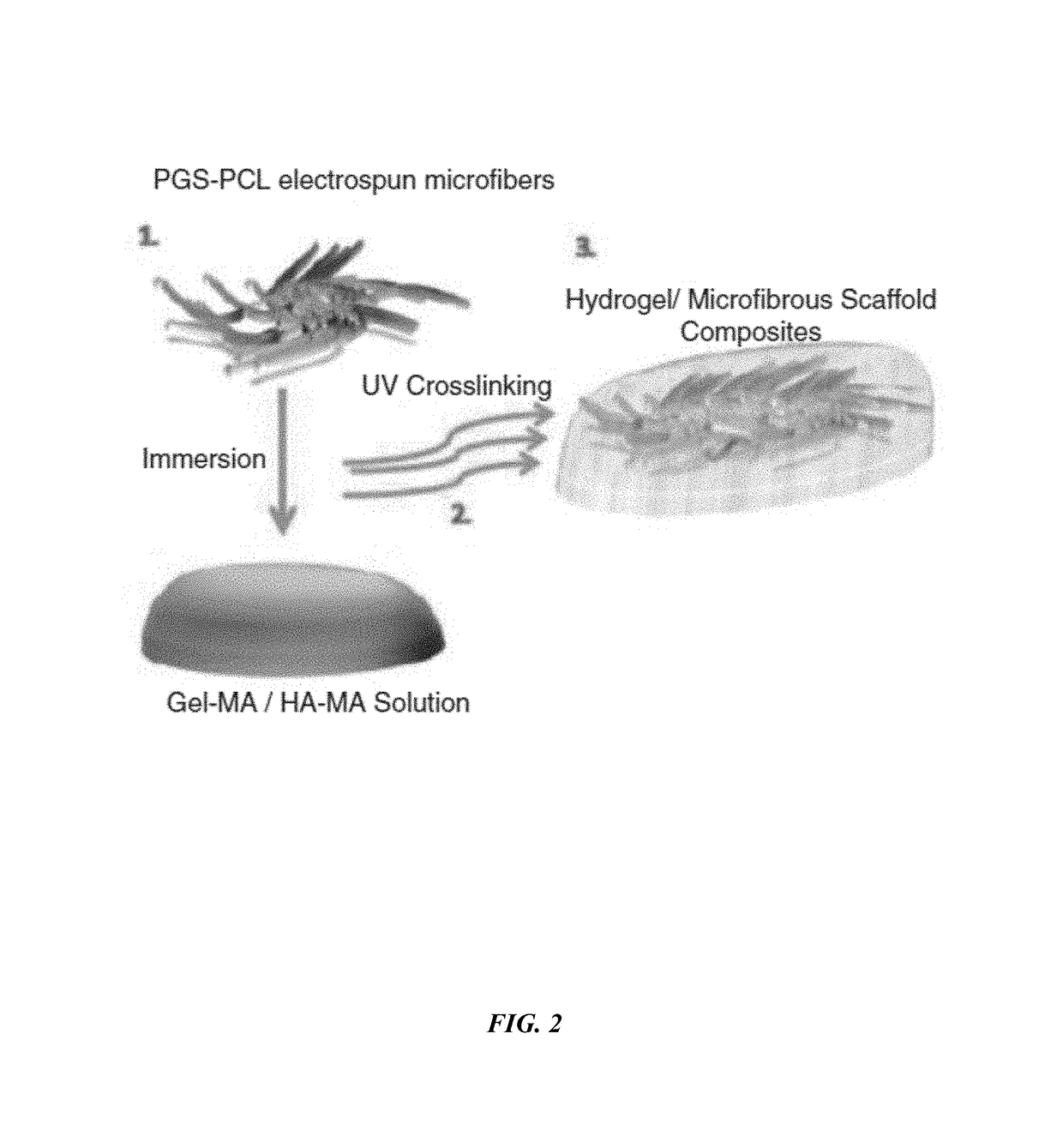 Scaffold for skin tissue engineering and a method of synthesizing thereof