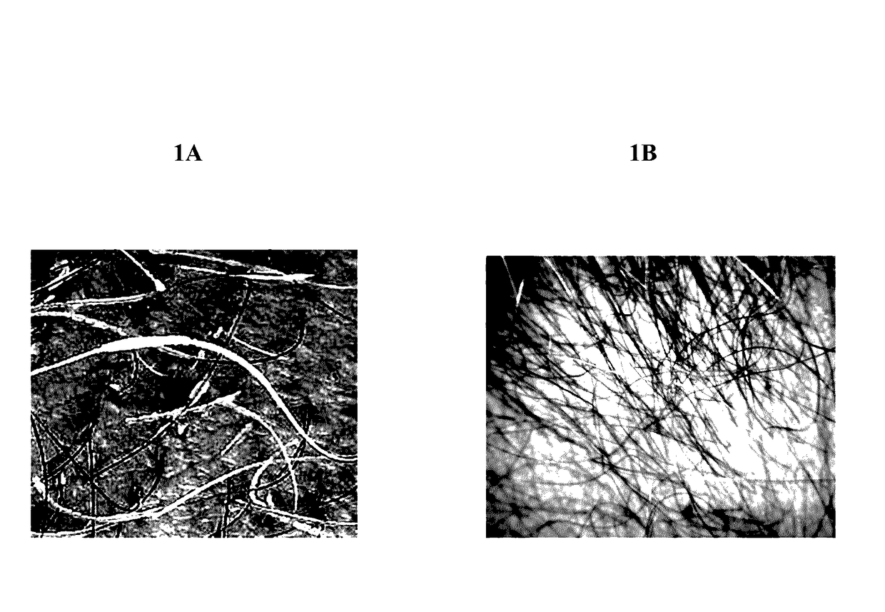 Antimicrobial compositions