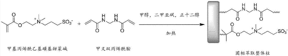 Polymer monolithic column, solid phase extraction filter based on same, and preparation method and application thereof