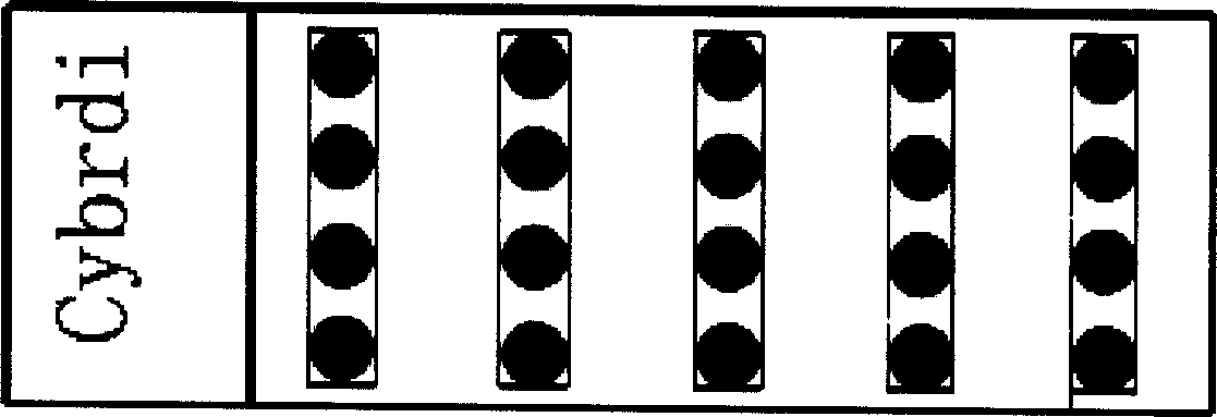 Autoantibody detection tissue chip