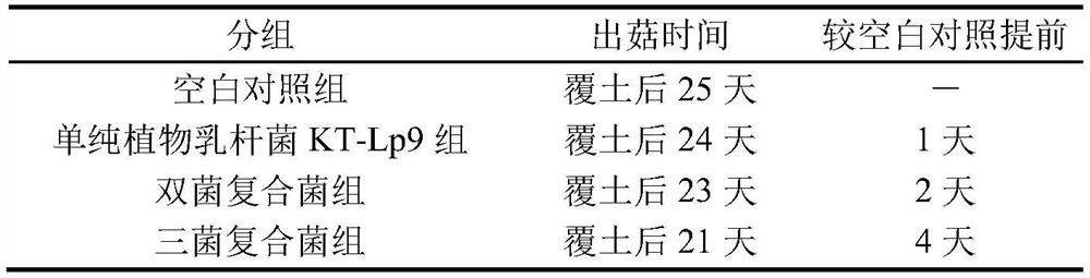 A kind of compound lactic acid bacteria agent and its preparation method and application