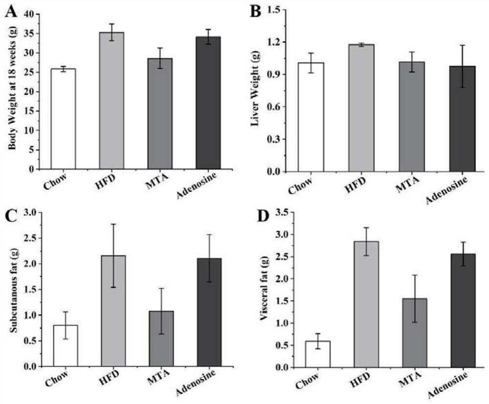 Application of 5 '-methylthioadenosine in preparation of obesity inhibition drugs or health care products