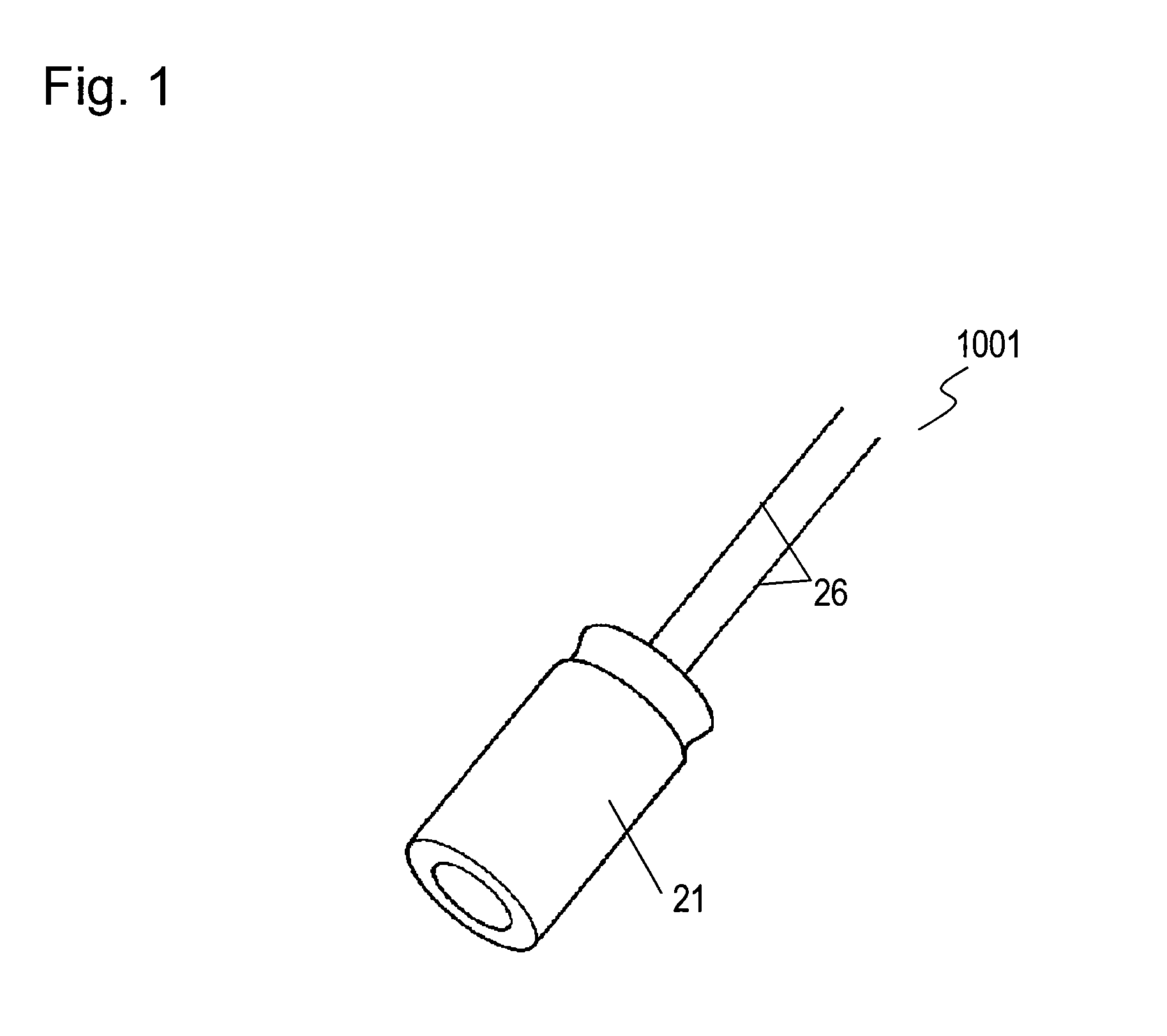 Electric double layer capacitor