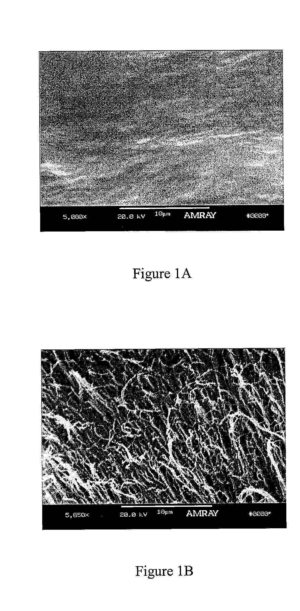 Bone matrix compositions having nanoscale textured surfaces