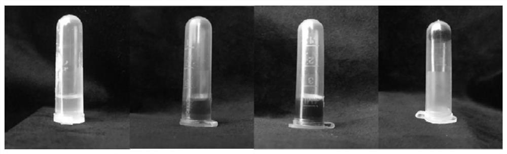 Preparation method of self-repairing bionic hydrogel with toughness and adhesion