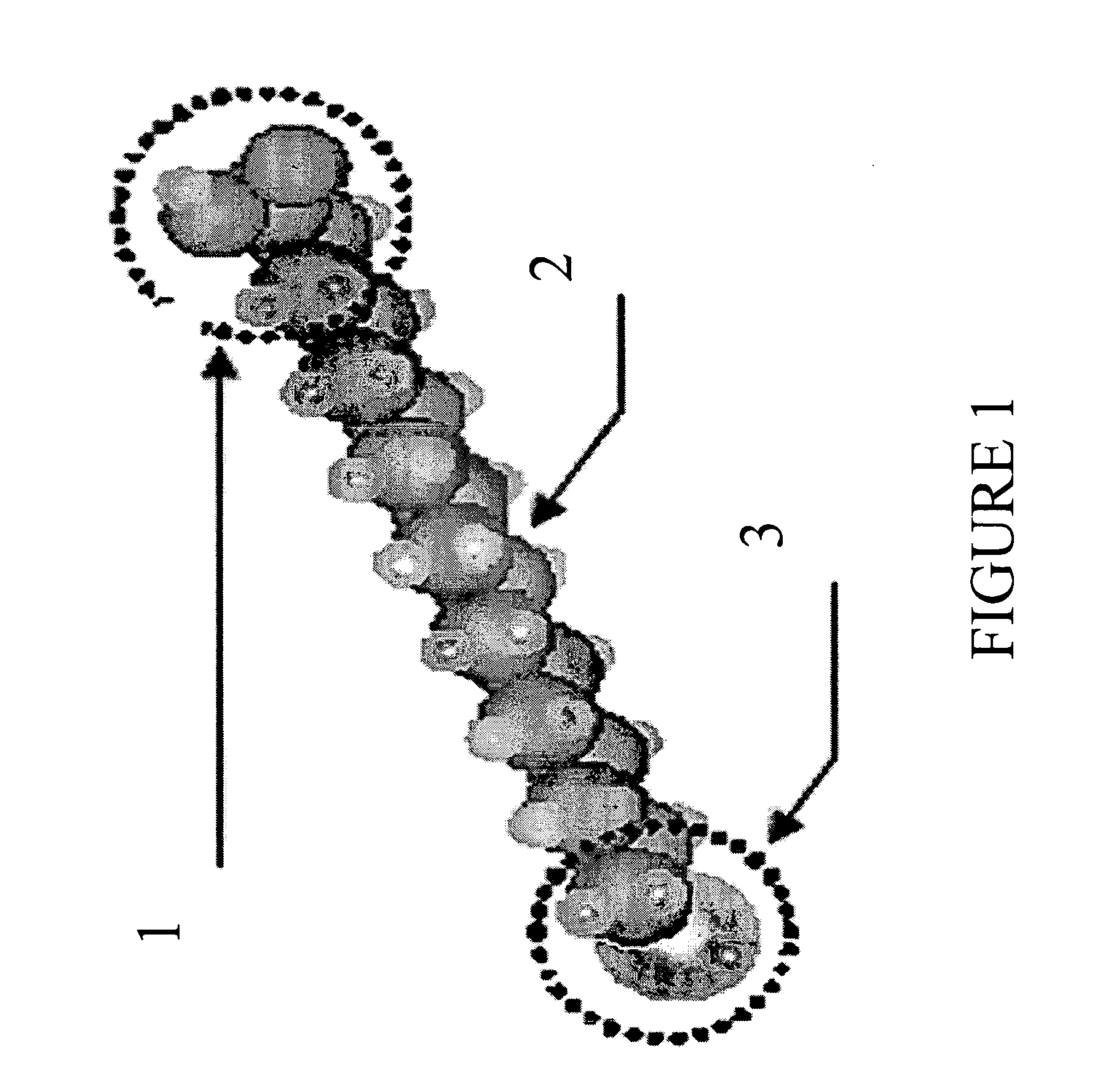 Method for selective deposition of a thin self-assembled monolayer