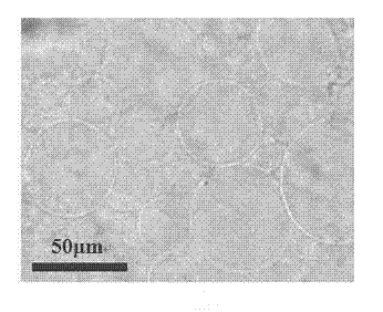 Method for preparing giant phospholipid vesicle by using finger-like microelectrode