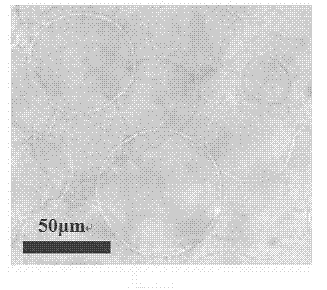 Method for preparing giant phospholipid vesicle by using finger-like microelectrode