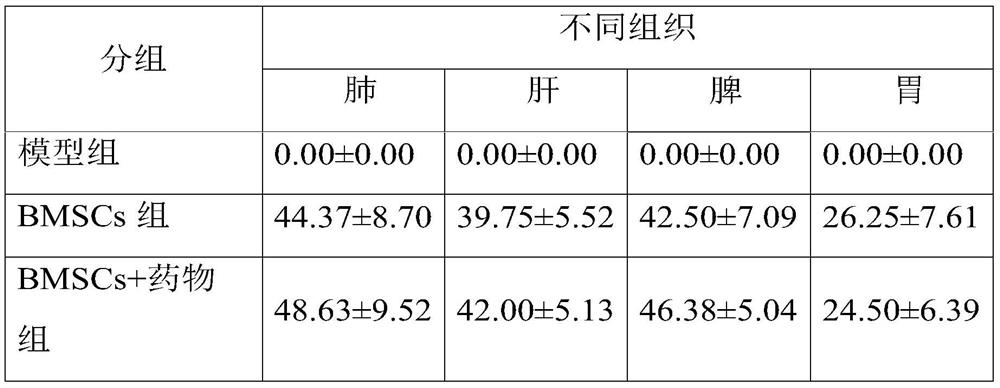 Application of pomegranate peel in preparation of medicine for promoting bone marrow mesenchymal stem cell migration, medicine and preparation method thereof