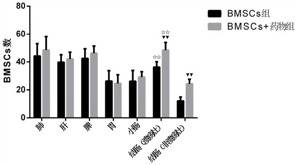 Application of pomegranate peel in preparation of medicine for promoting bone marrow mesenchymal stem cell migration, medicine and preparation method thereof