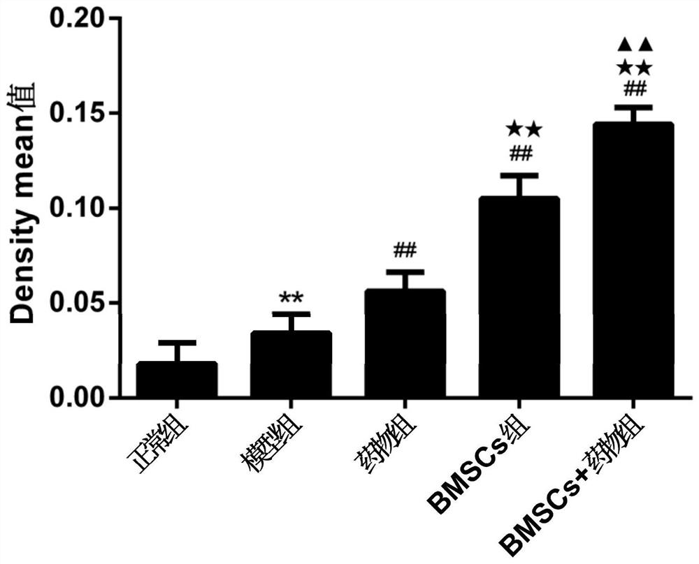 Application of pomegranate peel in preparation of medicine for promoting bone marrow mesenchymal stem cell migration, medicine and preparation method thereof