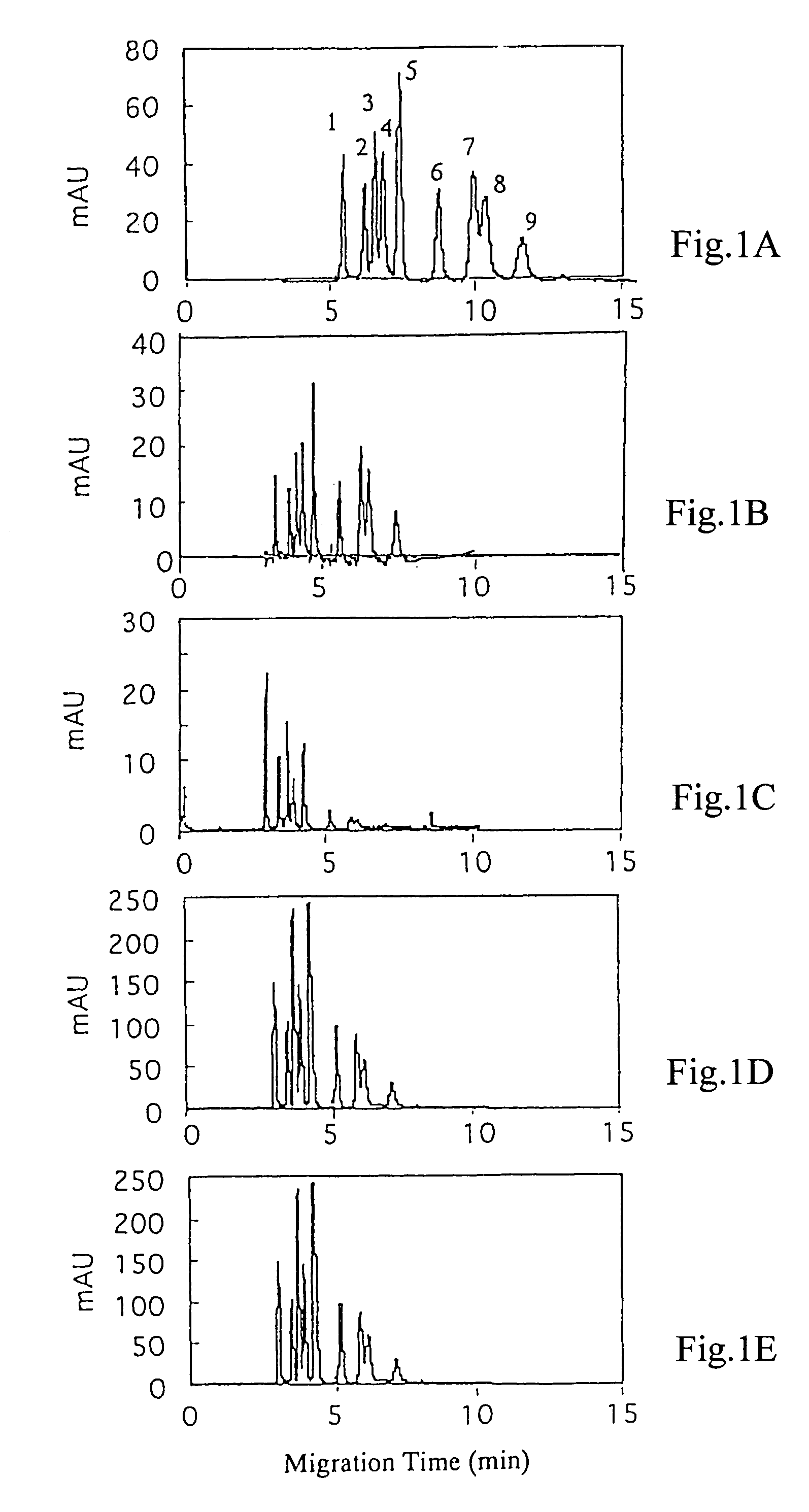 Electrophoresis methods