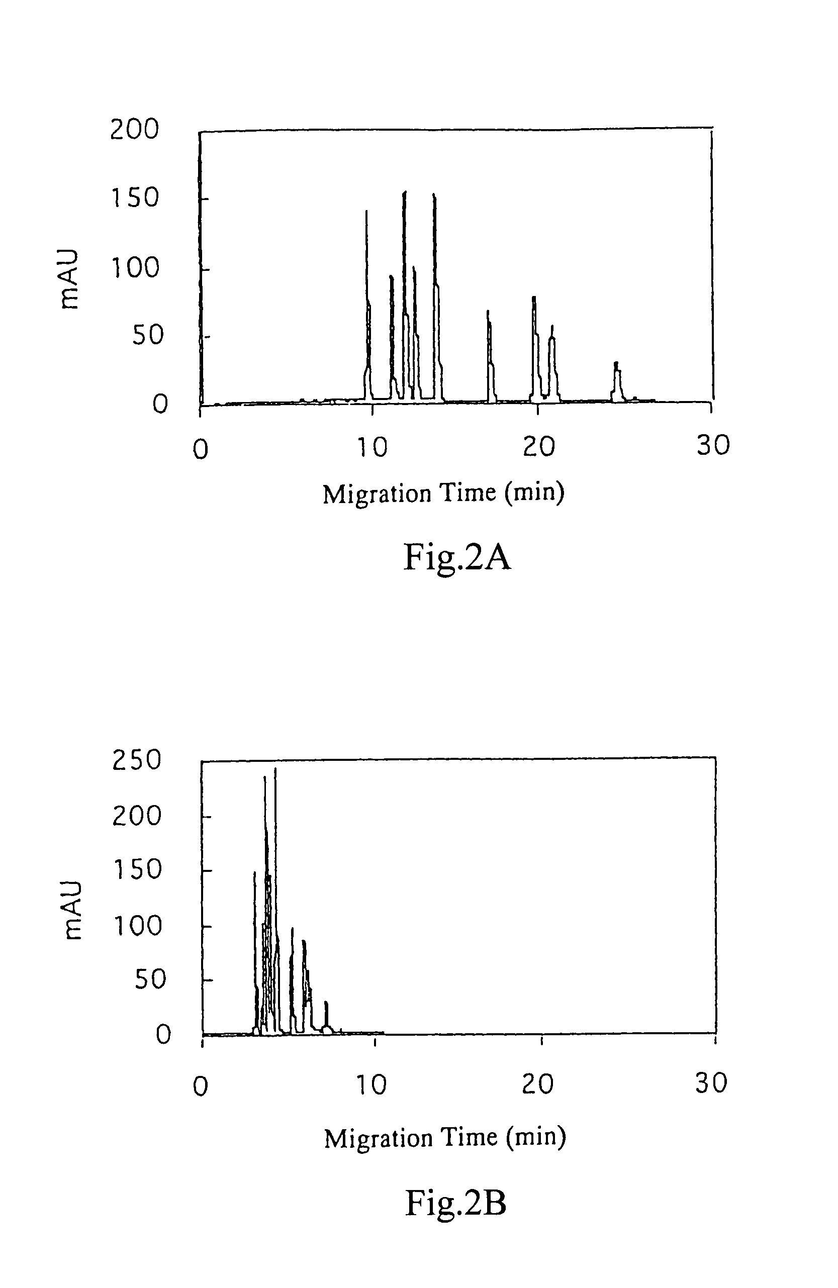 Electrophoresis methods