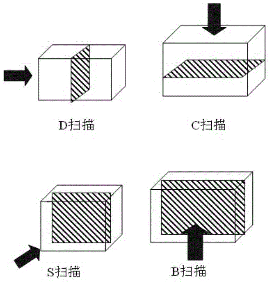 Ultrasonic B+C+D+S scanning identification method of internal defect of steel ingot