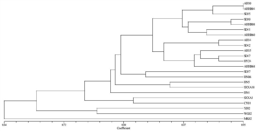 The ssr core primer set developed based on the whole genome sequence of pomegranate and its application