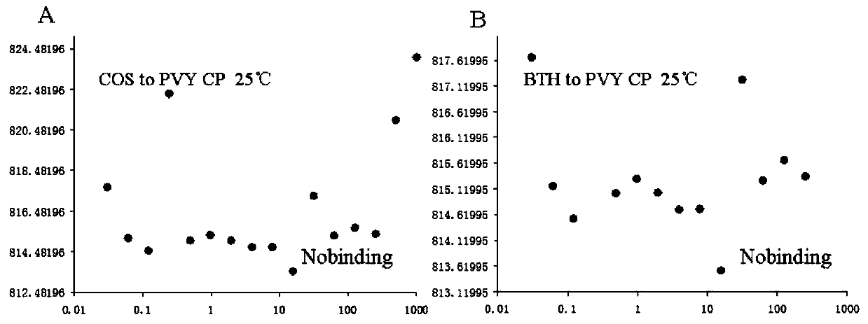 PVY-CP serving as target of drug for screening and treating potato Y virus and application thereof